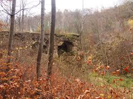 Rezerwat przyrody Dolina Eliaszówki